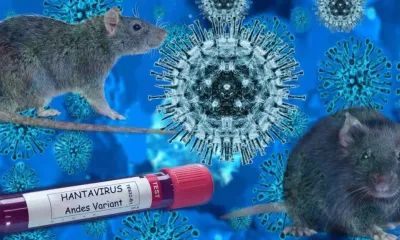 Imagem da notícia Saúde de MS investiga primeiro caso suspeito de hantavírus no Estado